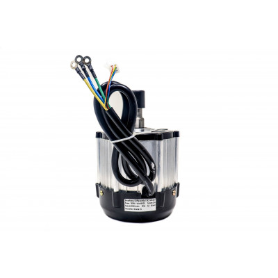 1000W 48V Brushless DC Motor Buy Online At Low Price In India ...