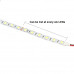 24V Warm White 5050 SMD LED Strip - 5Meter