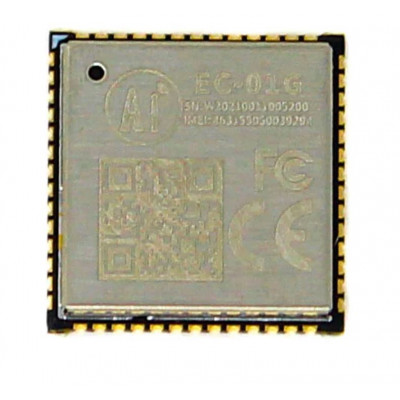 Ai Thinker EC-01G NB-IOT Module