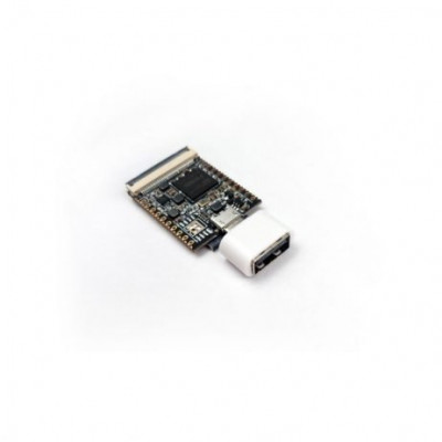 Sipeed Lichee Nano Linux Development Board 16M Flash Version